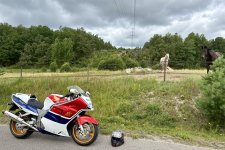 IMG_9428.jpeg