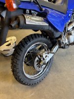 IMG_9266.jpeg