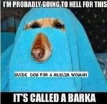 FB_IMG_1785263185834.jpg
