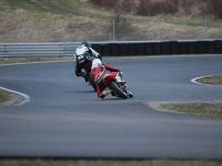 IMG_9305.jpeg