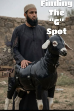 1785564496184.png