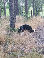IMG_20260806_205110_404.jpg