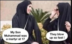 1141.jpg