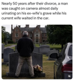 1786480294577.png