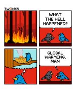 1177.jpg