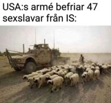 1000062432.jpg