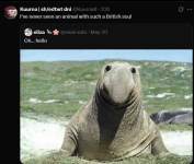 1787076761480.png