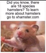 1225.jpg