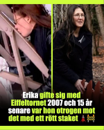 1787211797253.png