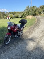 IMG_7016.jpeg