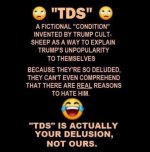 tds.jpg