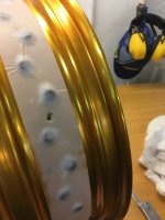IMG_2951.jpeg