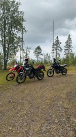 IMG_4388.jpeg IMG_4388.jpeg