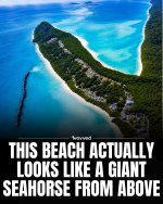 FB_IMG_1787602071866.jpg