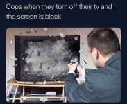 1788028833213.png