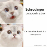1788035834285.png