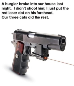 1788435579599.png