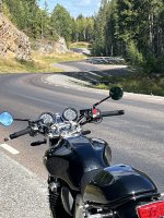 IMG_2287.jpeg