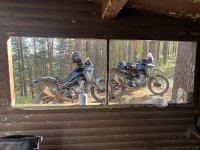 IMG_4472.jpeg IMG_4472.jpeg