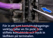 1789708599328.png 1789708599328.png