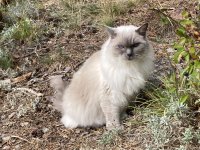 IMG_9399.jpeg
