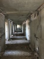 IMG_1317.jpeg