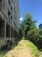 IMG_1321.jpeg