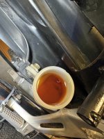IMG_9822.jpeg