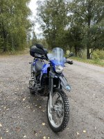 IMG_7120.jpeg