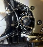 IMG_9834.jpeg