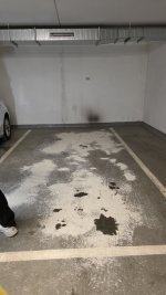 1000003977.jpg 1000003977.jpg