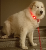 1791631303255.png
