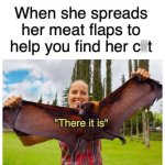 1344.jpg