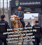 1791901963085.png