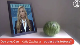 1792174653998.png