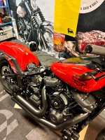 IMG_9943.jpeg
