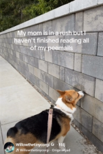1792531214232.png