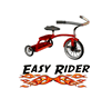 easyrider_101x80.gif