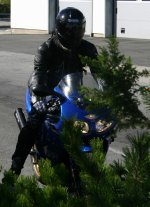 01.jpg
