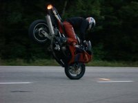 klintenstoppie.jpg