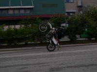 plm2.jpg