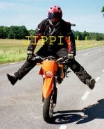 ktm660 med text.jpg