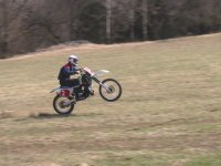 stevie wheelie.jpg