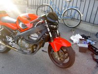 Blandat 096.JPG