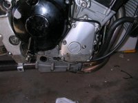 DSCN1904 (Medium).JPG