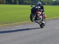 bild2.jpg