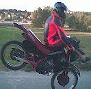 3.GIF