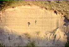 pbpic16166.jpg