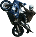 ny_avatar337_19.gif