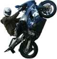 ny_avatar337_19.gif